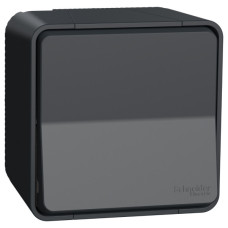 Накладной 1-клавишный выключатель Schneider Electric MUR35021 IP55 (черный)