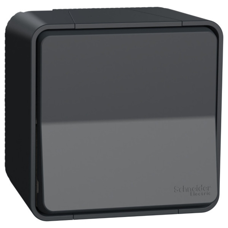 Накладной 1-клавишный выключатель Schneider Electric MUR35021 IP55 (черный)