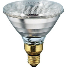 Світлодіодна лампа Philips PAR38 IR 100Вт E27 CL 1CT/12