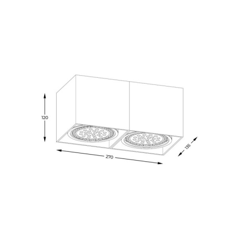 Точечный светильник Zuma Line ACGU10-116-N Box GU10 ES111 2x15W IP20 белый (5905316608306)