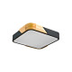 Потолочный светильник Italux PLF-13187-BK-WO Santer LED 1x24W 3000K 2400Lm IP20 черный