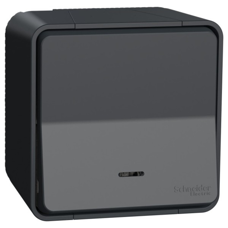 Накладной выключатель Schneider Electric MUR35024 с подсветкой IP55 (черный)