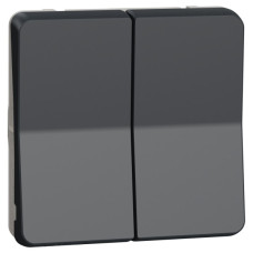 Проходной 2-клавишный переключатель Schneider Electric MUR35019 (сх.6+6) IP55 (черный)