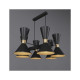 Люстра Pikart 11538-4 Dualight