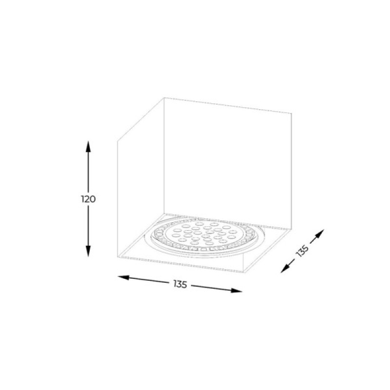 Точечный светильник Zuma Line ACGU10-114-N Box GU10 ES111 1x15W IP20 белый (5905316608276)