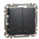Двухклавишный выключатель Schneider Electric Sedna Design & Elements с подсветкой черный SDD114105L