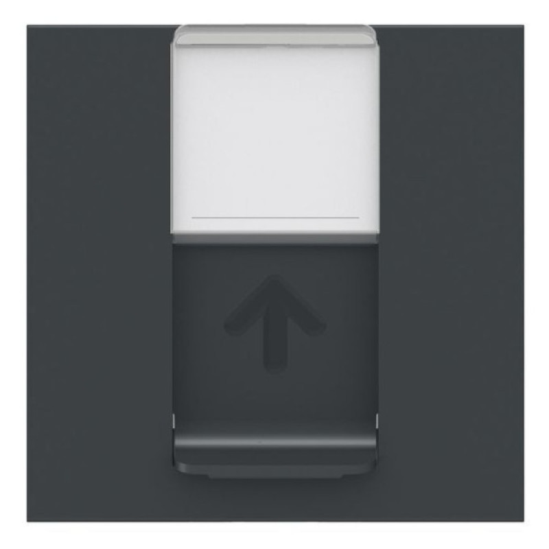 Накладка для RJ45 розетки Schneider Electric NU941154 2М (антрацит)