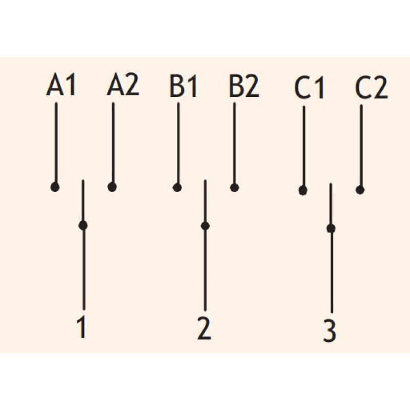 Кулачковый переключатель в корпусе ETI 004773199 CS 40 53 PN2 (3p «1-0-2» IP65 40A)