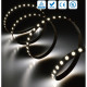 LED стрічка RISHANG 60-2835-12V-IP20 12W 970Lm 13000K 5м (RD0060TA-A-CW)